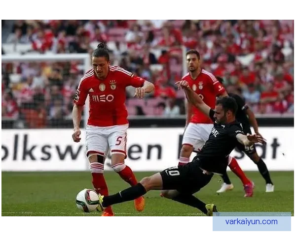 阿克状态回暖，近期表现稳健引发关注