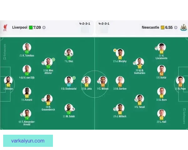 纽卡阵容深度分析显示球队配置合理，各位置竞争力增强，值得关注。